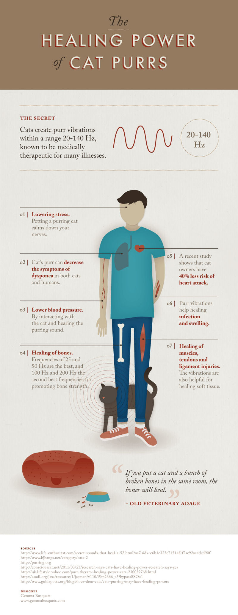 Cat Pur Infograph