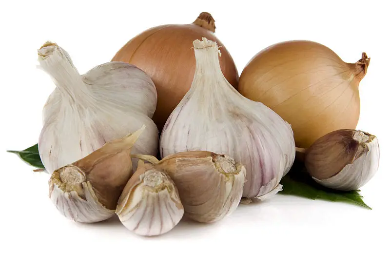 garlic and onion isolated on white