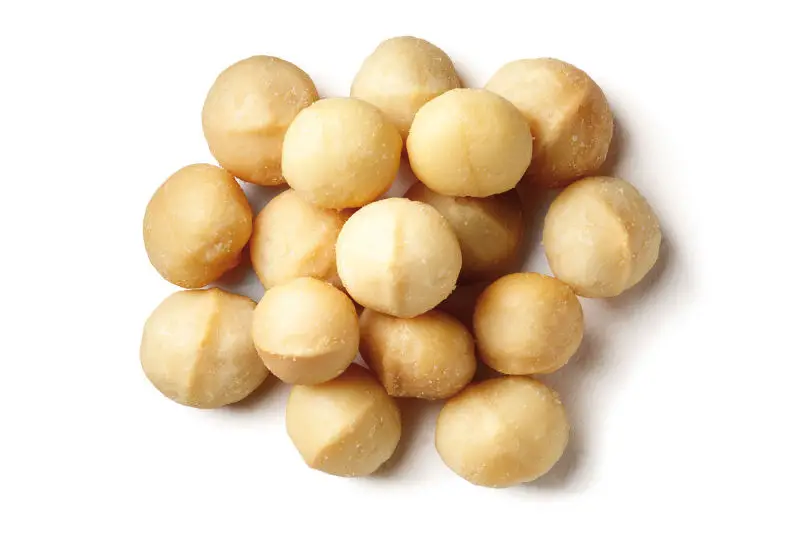 macadamia