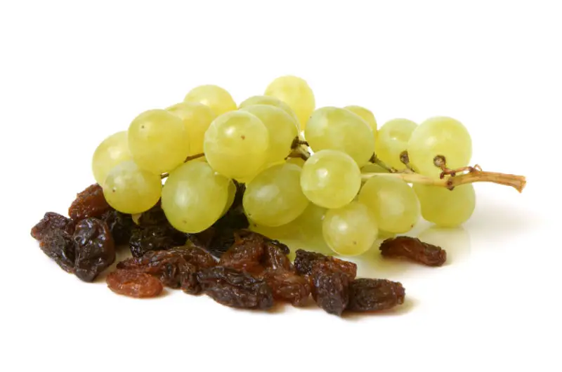 Bunch of grapes and raisins on a white background