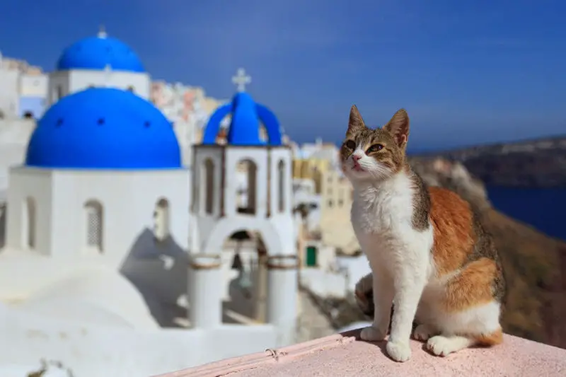santorini.cat1