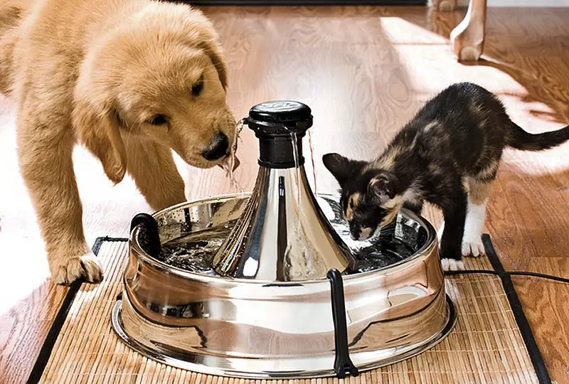 Drinkwell 360Stainless Steel Pet Fountain