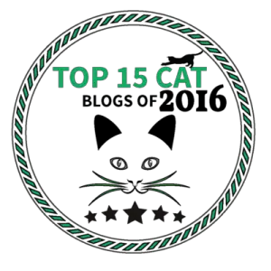 TOP CAT BLOG 2016