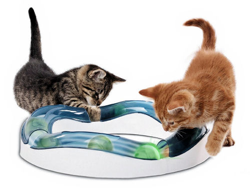 best toys for active cats