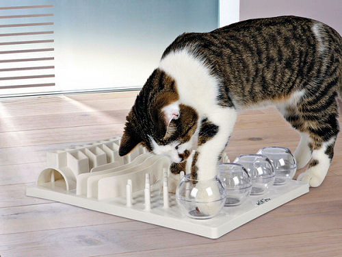 best toys for active cats