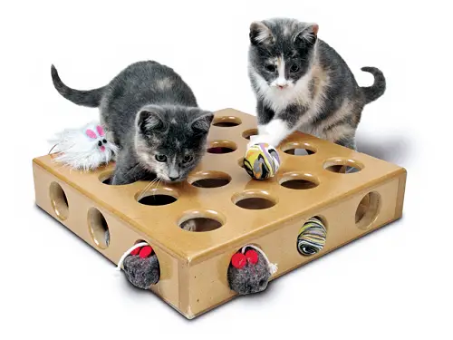 Top 10 Cat Toys for Active Cats The Purrington Post