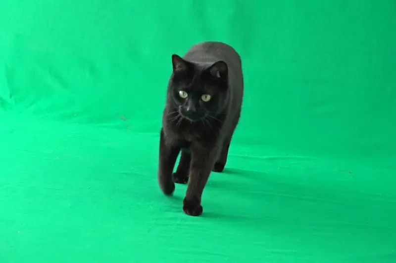 skip4