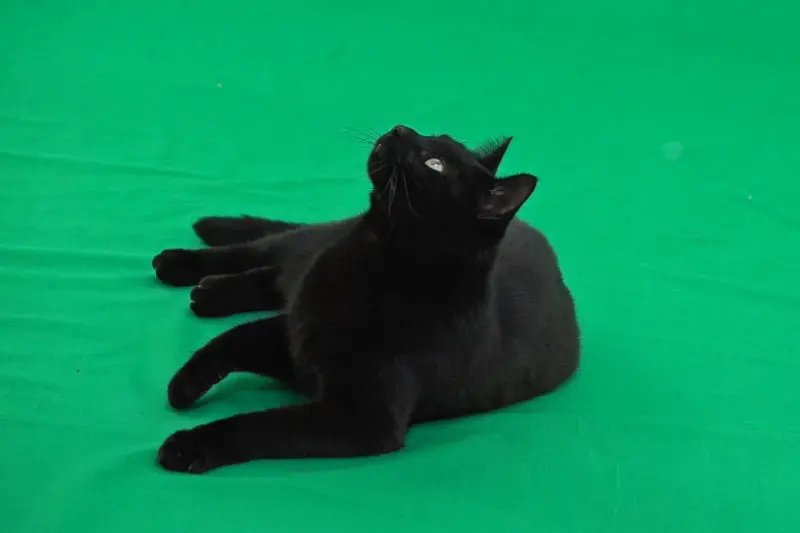 skip8