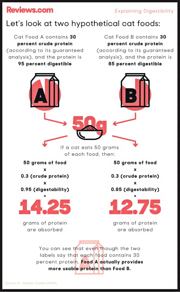 How to Choose the Best Cat Food The Purrington Post