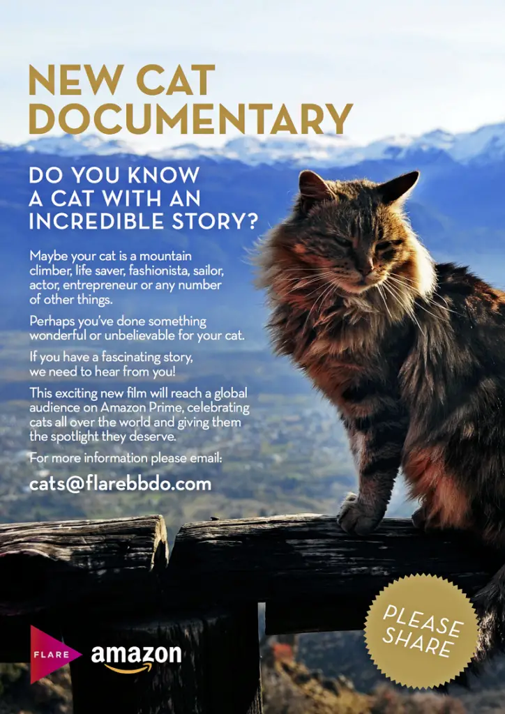 Know Any Incredible Cats Whose Story Should Be Told? The Purrington Post