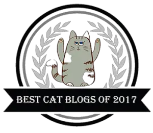 TOP CAT BLOG 2017