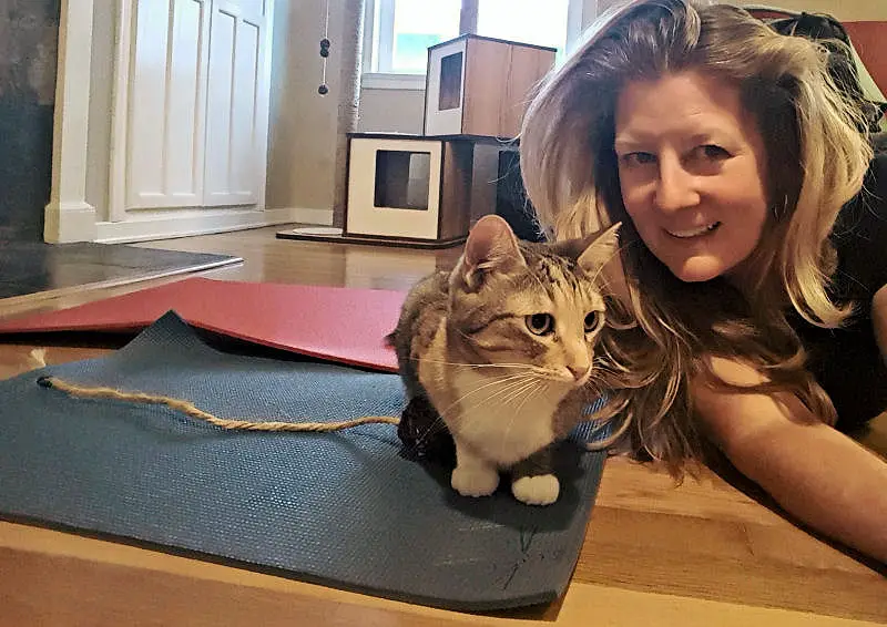 Yoga Cat Mat from Feline Yogi – hauspanther