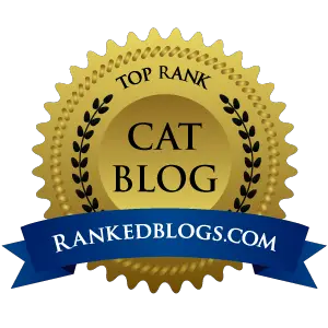 Top Cat Blogs of 2017