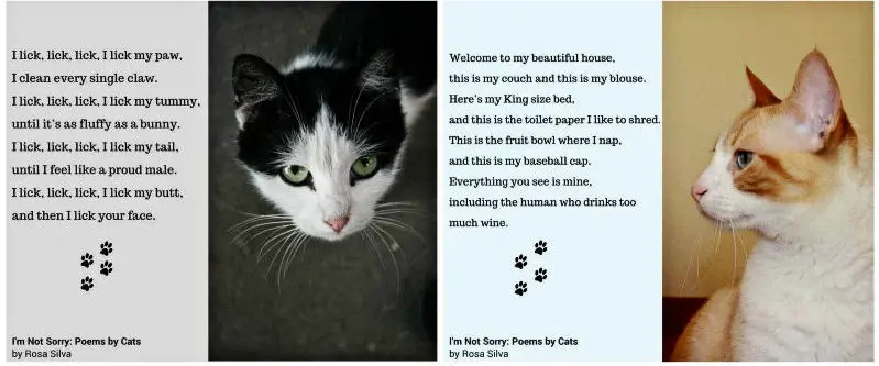 I M Not Sorry Poems By Cats The