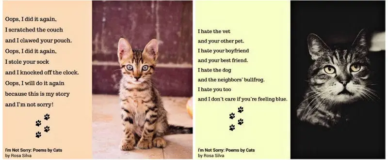 I M Not Sorry Poems By Cats The