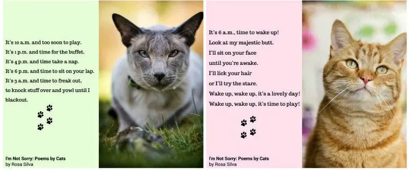 I M Not Sorry Poems By Cats The
