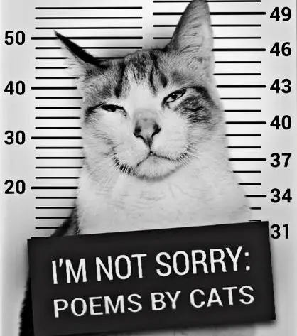 I M Not Sorry Poems By Cats The