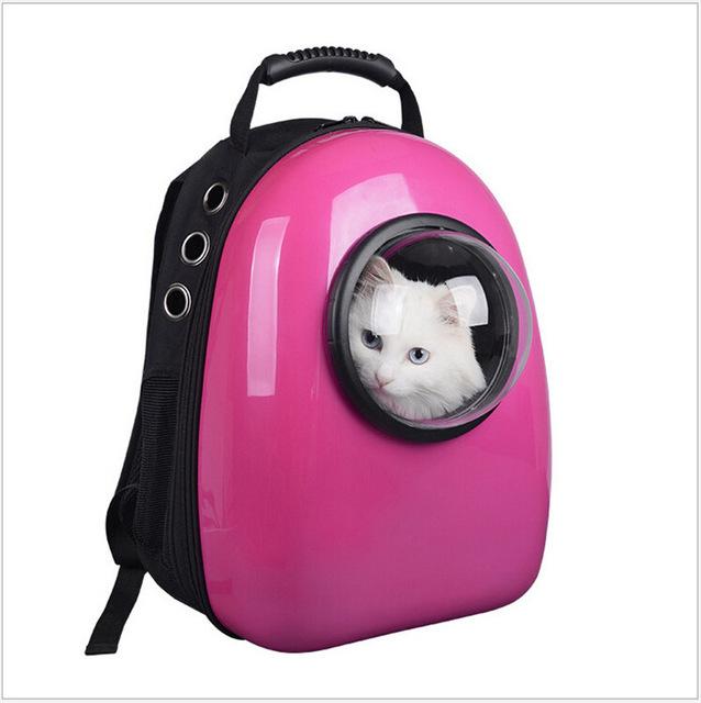 Make Every Trip an Adventure with a Cat Backpack The Purrington Post
