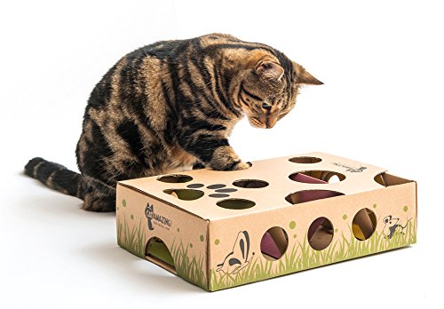 All for Paws Interactive Puzzle Cat Feeder Toys Brain Stimulation Toys Slow  Feeder for Indoor Cats with a Catnip Ball a LED Ball