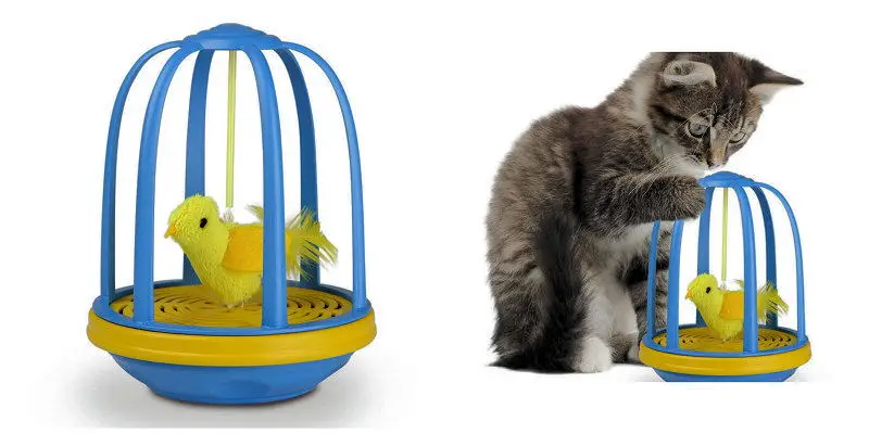 Cat Toys Pounce House and Bird in a Cage The Purrington Post