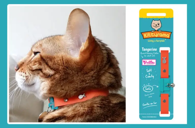 WIN a Kittyrama Designer Cat Collar