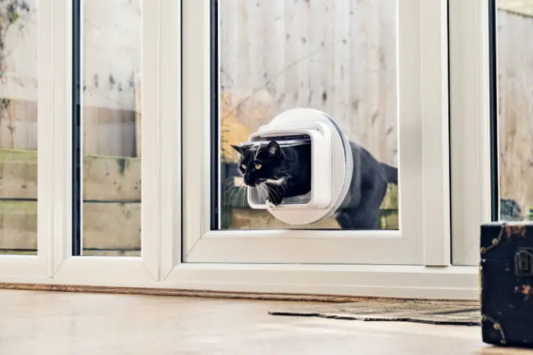 WIN a Microchip Cat Flap Connect from Sure Petcare The Purrington Post