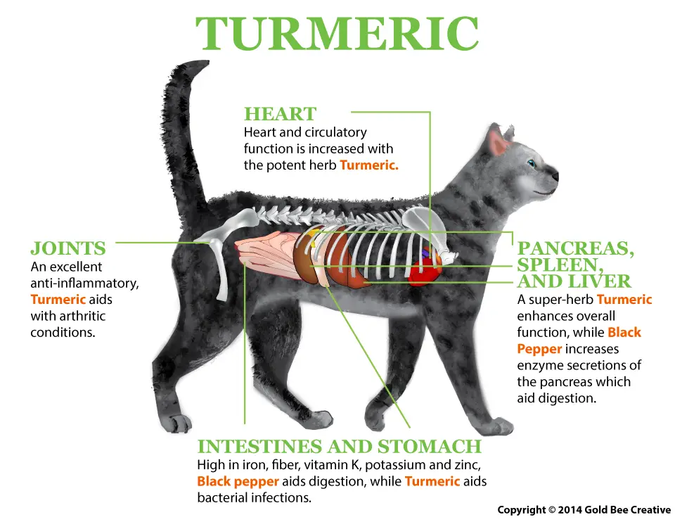 are turmeric capsules safe for dogs