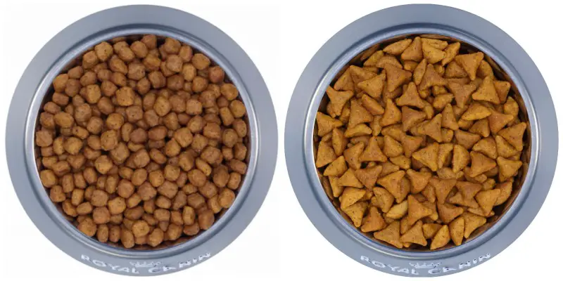 Kibble Science - How it's Made - The 