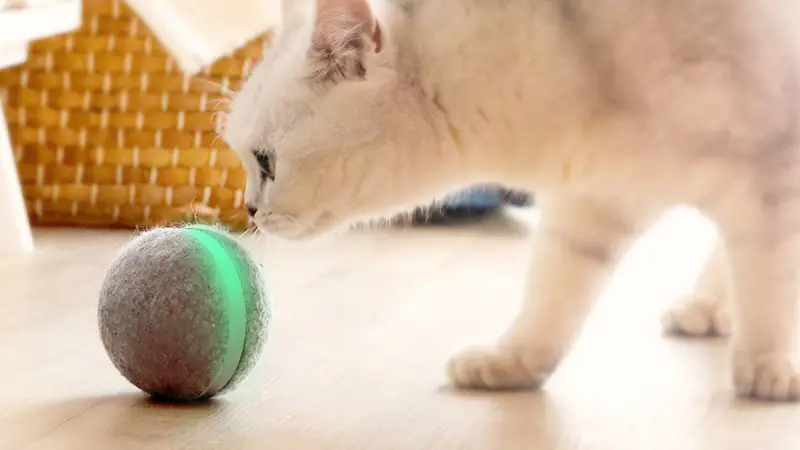 smart ball pet toy