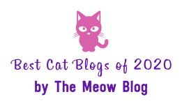 TOP CAT BLOG 2018