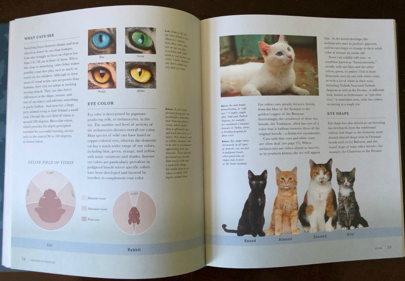 The Cat - A Natural and Cultural History - The Purrington Post