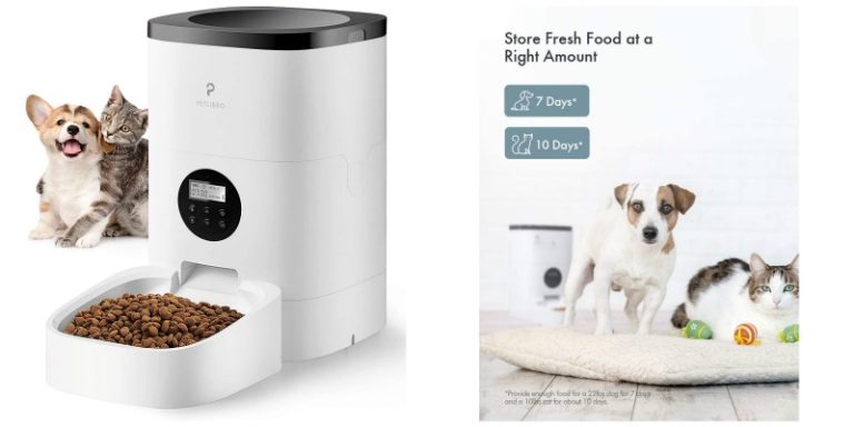 Introducing the PETLIBRO Automatic Cat Feeder - The Purrington Post