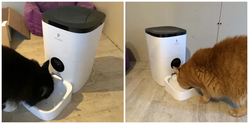 petlibro automatic cat feeder