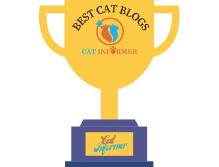 BEST CAT BLOG 2021