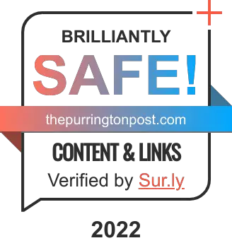 SAFE WEBSITE 2022