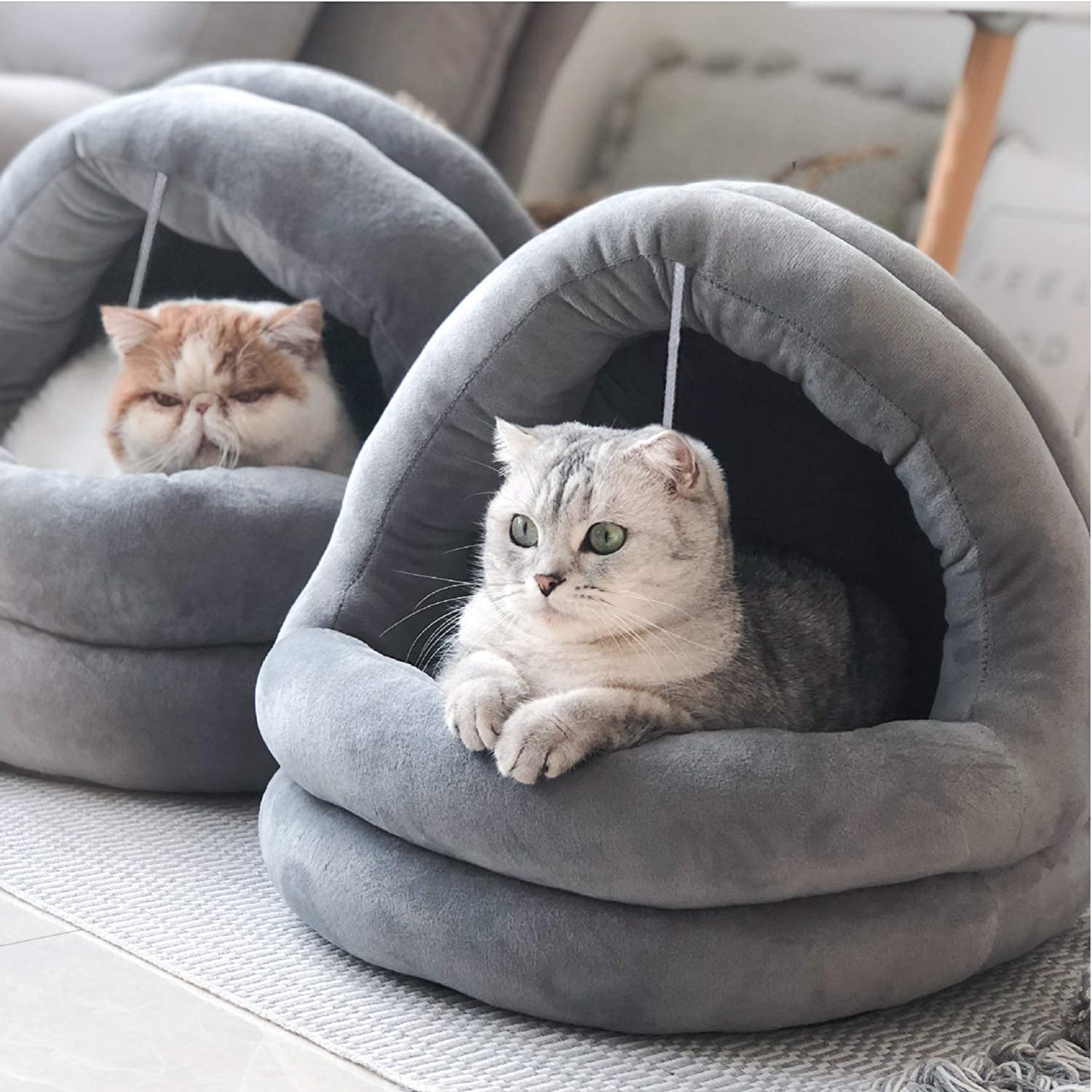 19 Best Gifts for Cat Lovers and Their Pets 2023