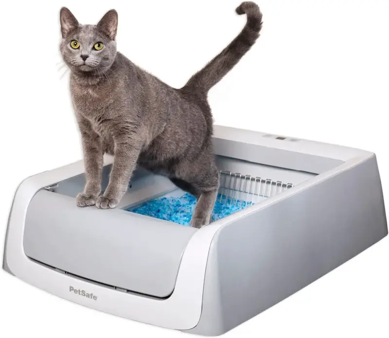 Litter Box PetSafe