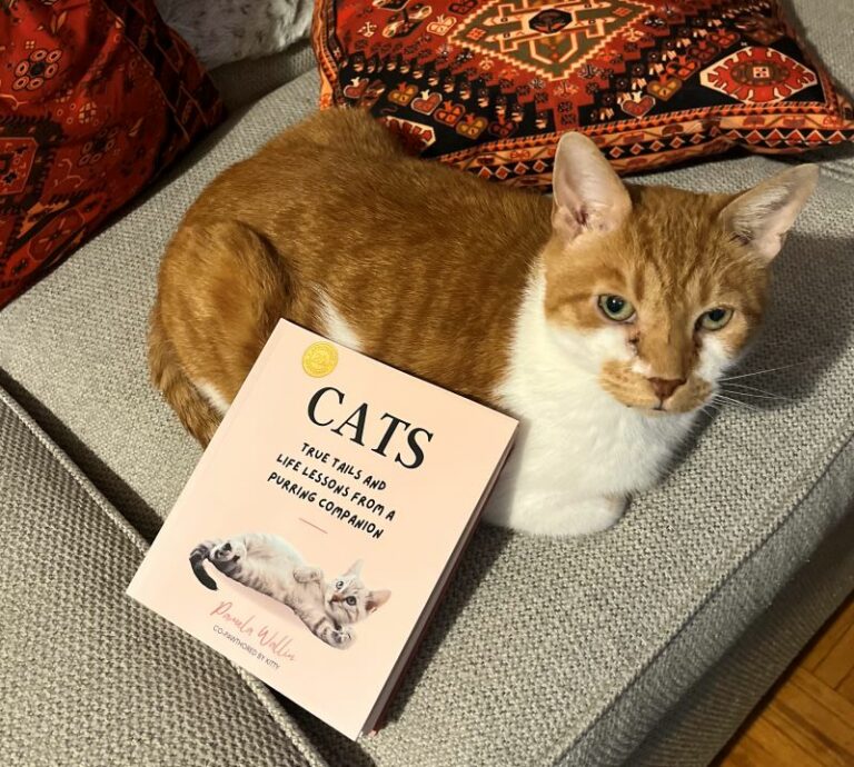 WIN a Copy of the Book – Cats: Tails and Life Lessons from a Purring ...